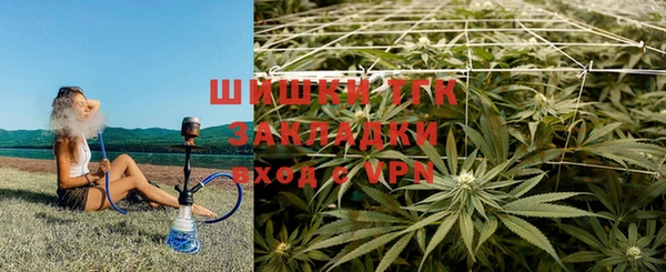 стафф Белокуриха