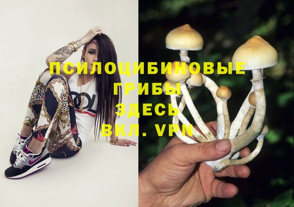 стафф Белокуриха