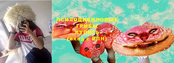 стафф Белокуриха