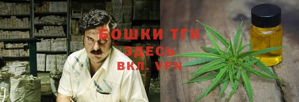 стафф Белокуриха